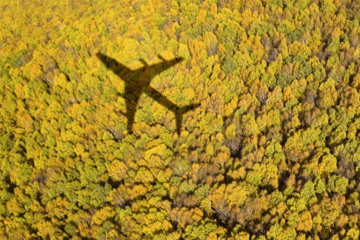 Global Roaming Excellence